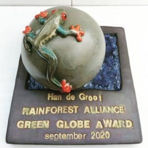 Rainforest award 2020